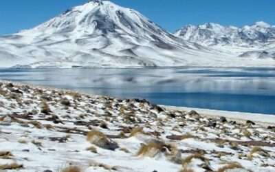 Les lagunes de Miscanti et Miniques