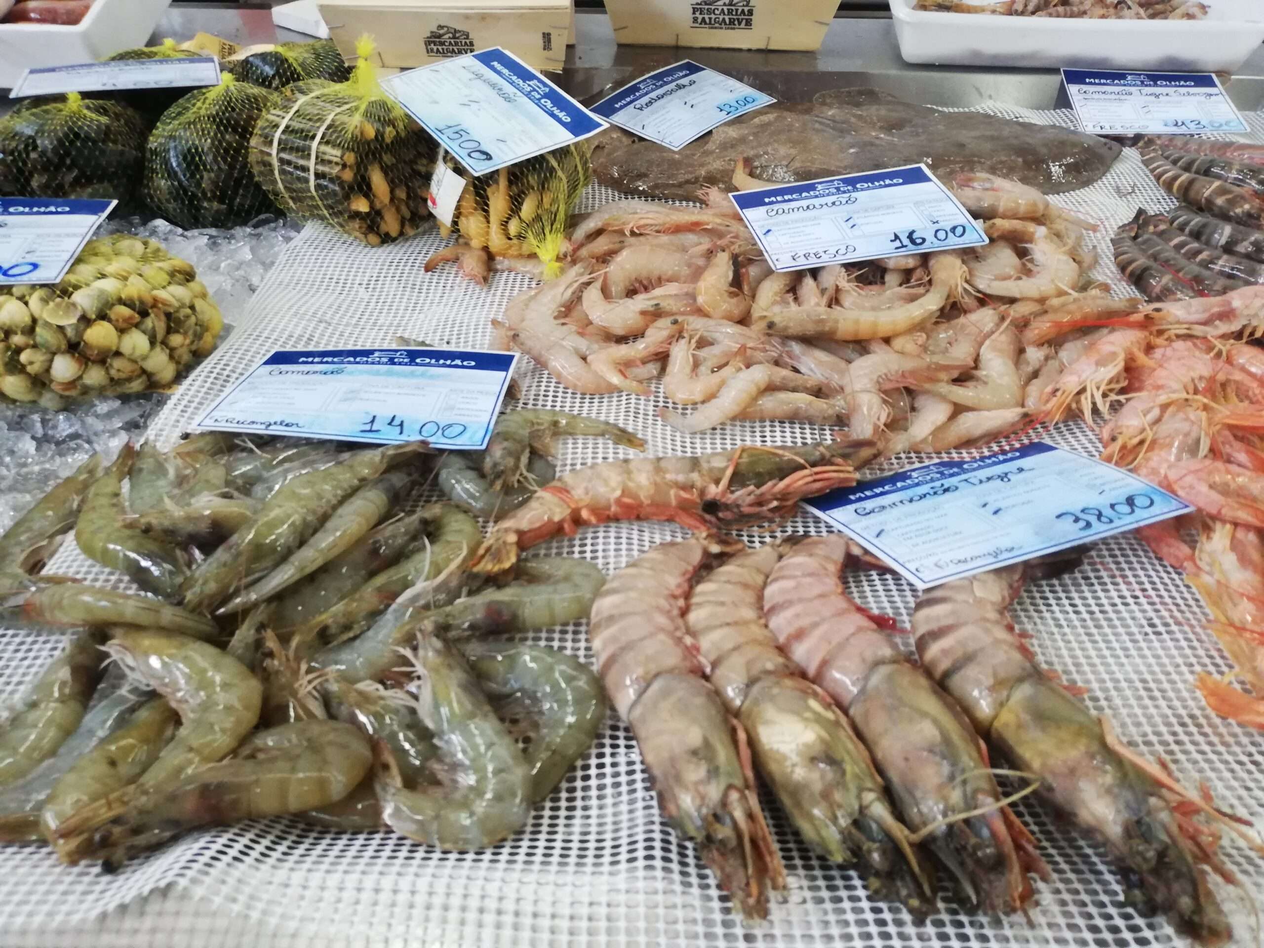 Fruits de mer marché d'Olhao