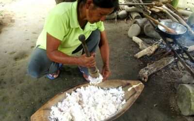 Chicha de Yuca – Equateur