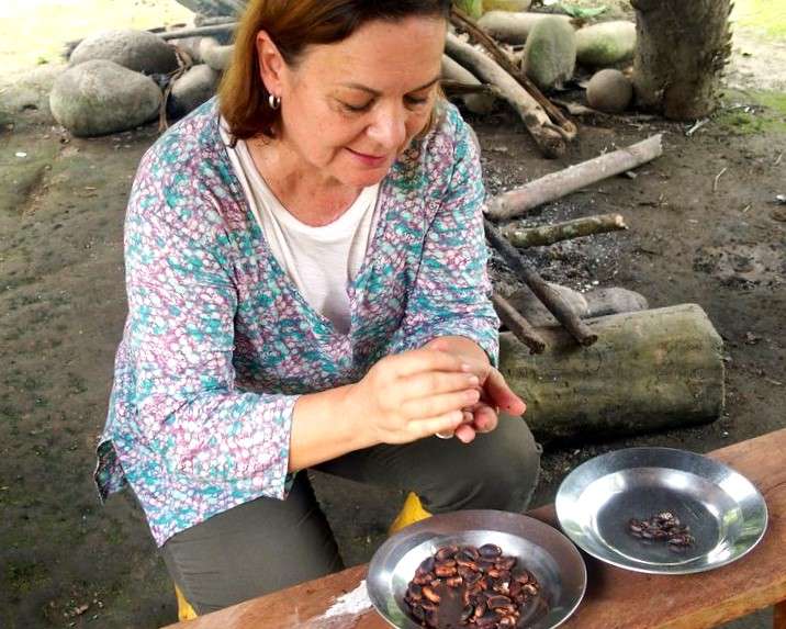 Cabosses sur cacaoyer