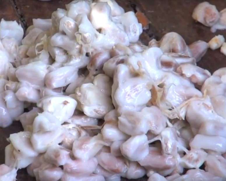 fèves de cacao